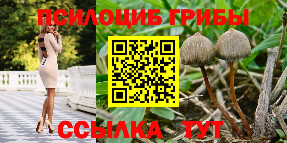Псилоцибиновые грибы Magic Shrooms Орехово-Зуево